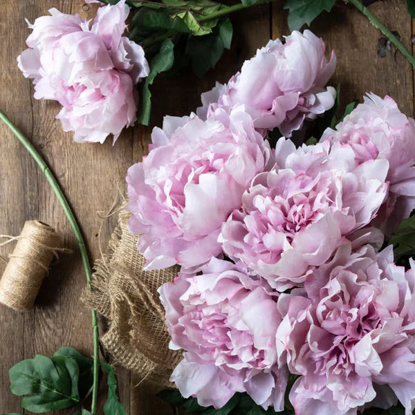 Peony Rouge Stem