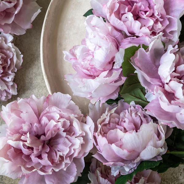 Peony Rouge Stem