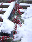 Red Berry Faux Garland