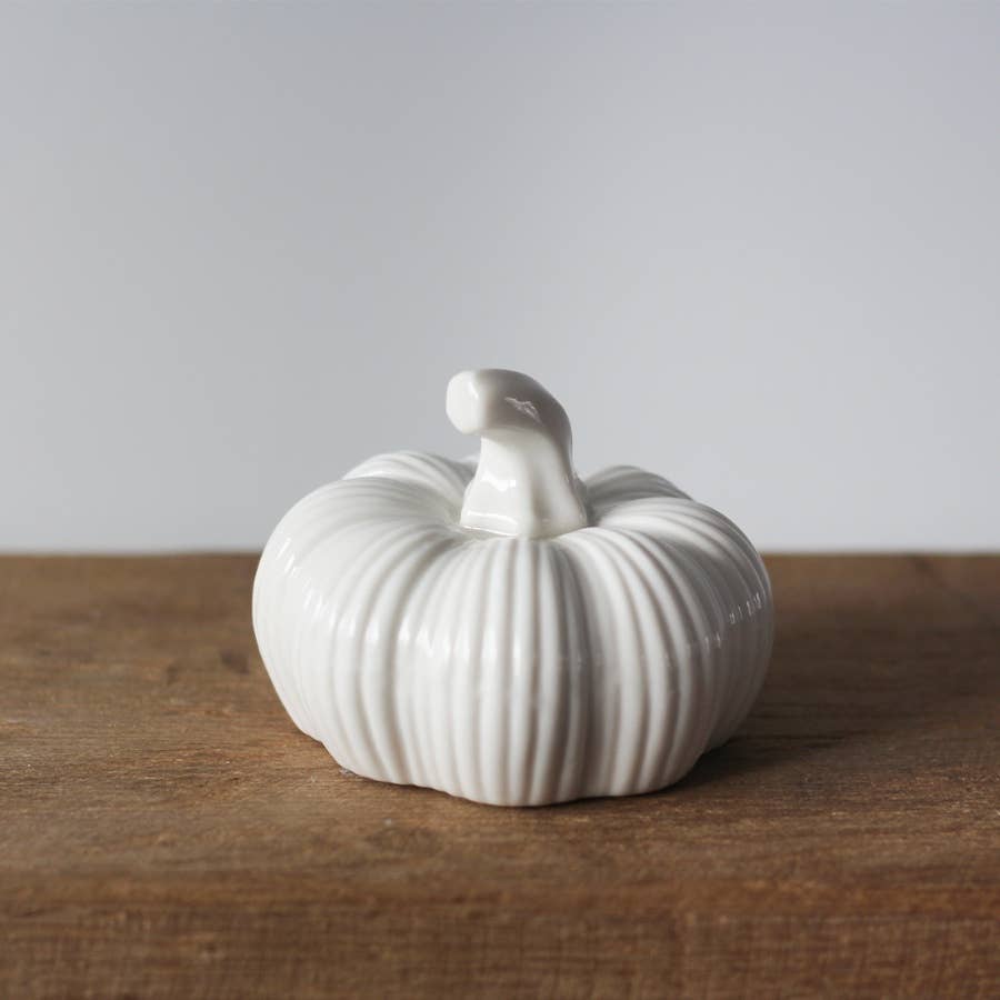 Ribbed White Pumpkin