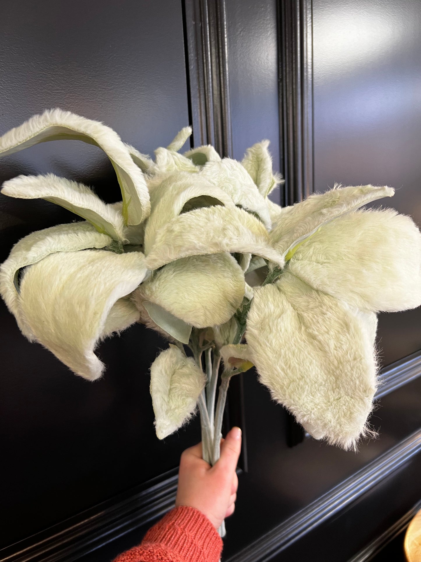 Light Green Lambs Ear Stem