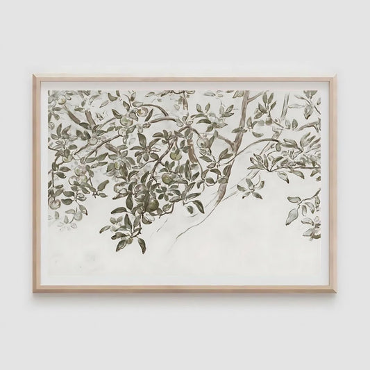 Trailing Olive Branch Print