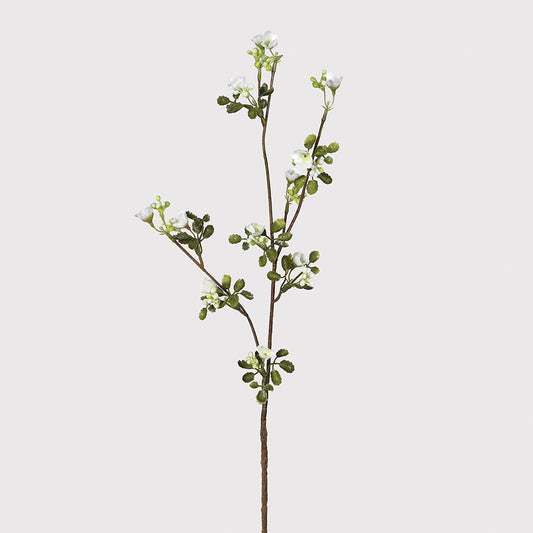 White Wax Flower Stem