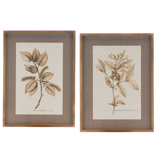 Autumn Botanical Prints