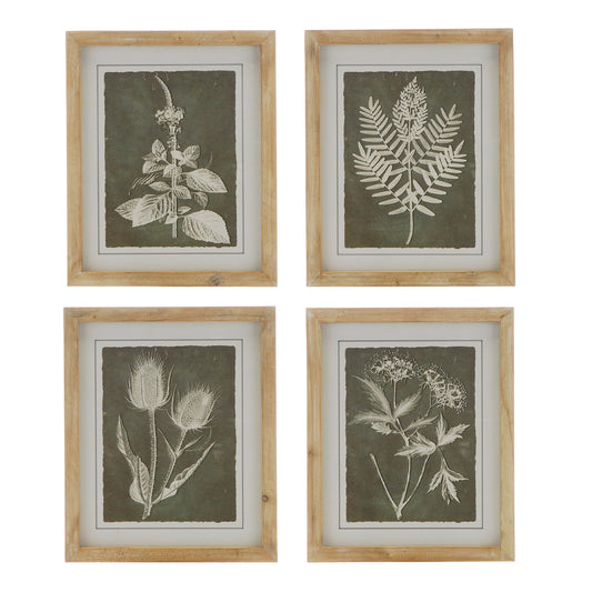 Framed Botanical Prints 