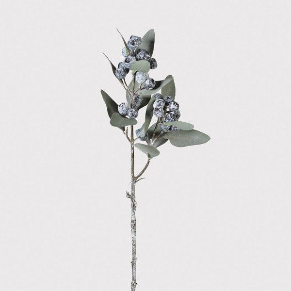 Blueberry Eucalyptus Stem