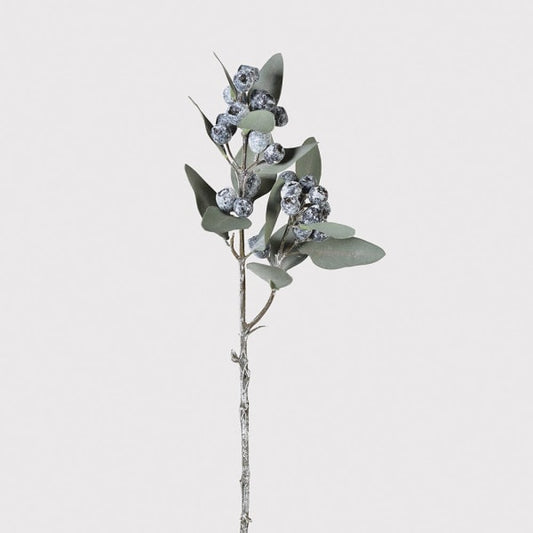 Blueberry Eucalyptus Stem